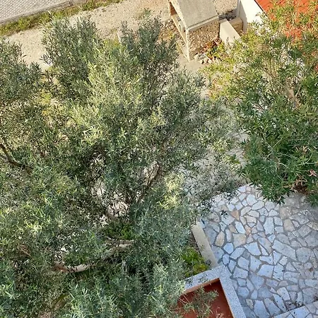 Apartments Ivana Zubovici Exterior photo