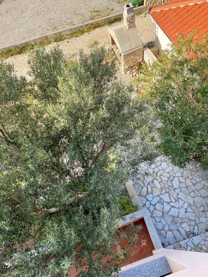 Apartment Ivana *
