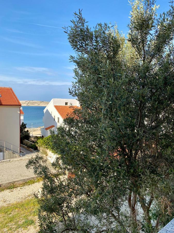 Apartman Ivana
